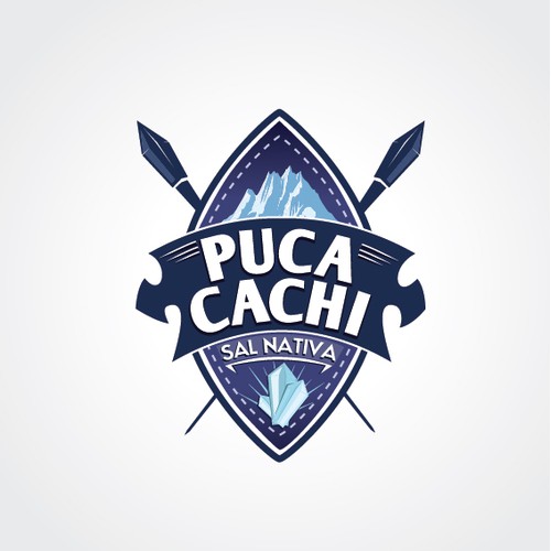 HEALTHY SALT company in Peru needs a new logo