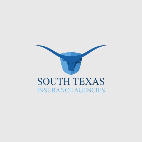 South Texas Insurance Agencies Inc
