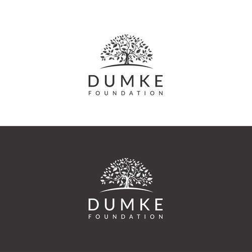 New Logo for Established Family Foundation
