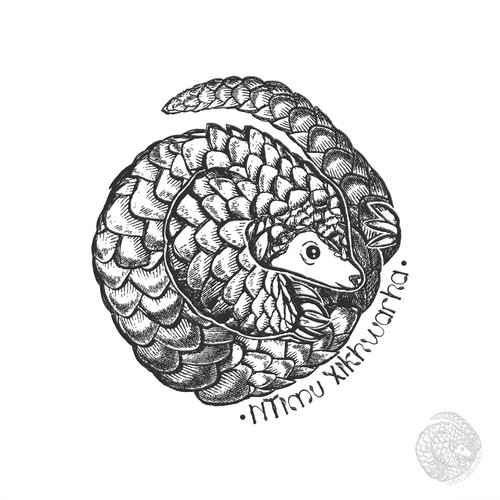 Pangolin design