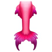 Reviewed design