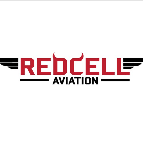 Create a logo for an Aviation Consulting and Training Startup.