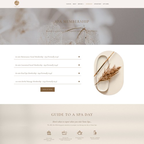 WordPress Website Design and Development