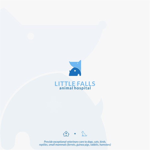 Little Fals Animal Hospital