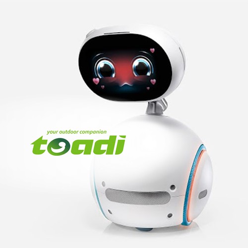 the Toadi ROBOT