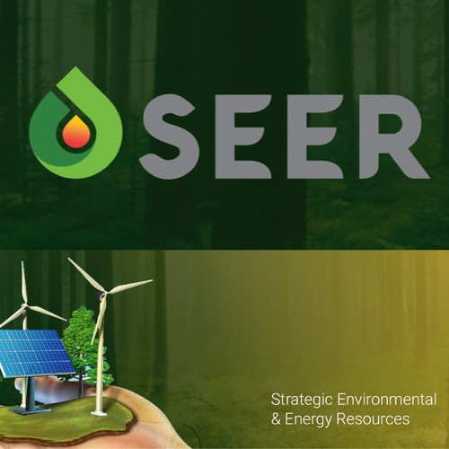 SEER Logo