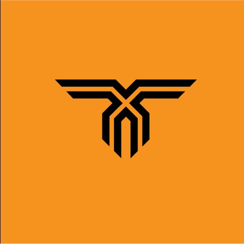 TT Logo Concept 