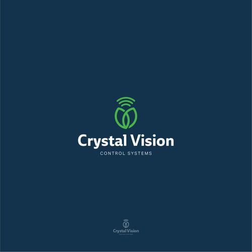 Crystal Vision