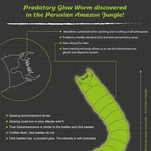 Infographic for New Discovery