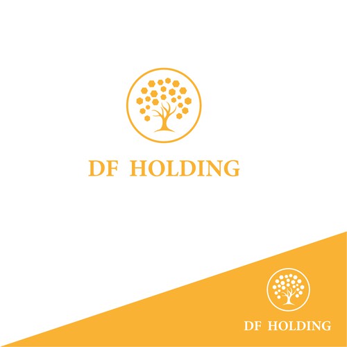 DF Holding