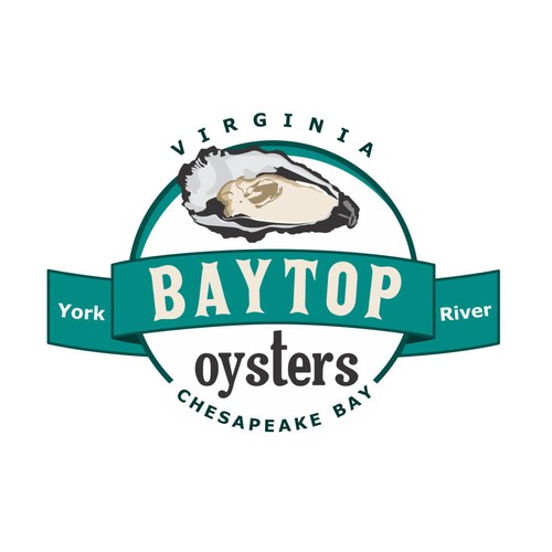logo proposal