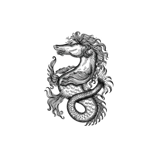 Vintage seahorse illustration
