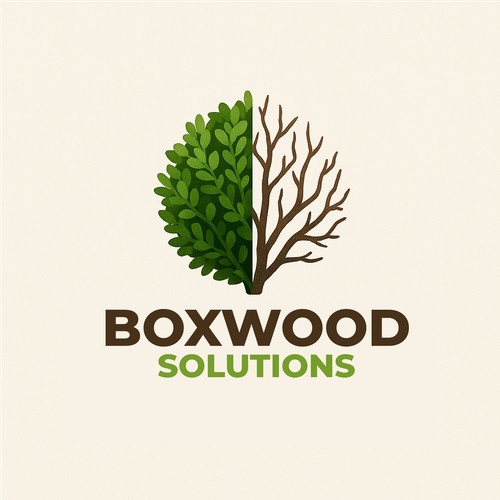 Boxwood Solutions