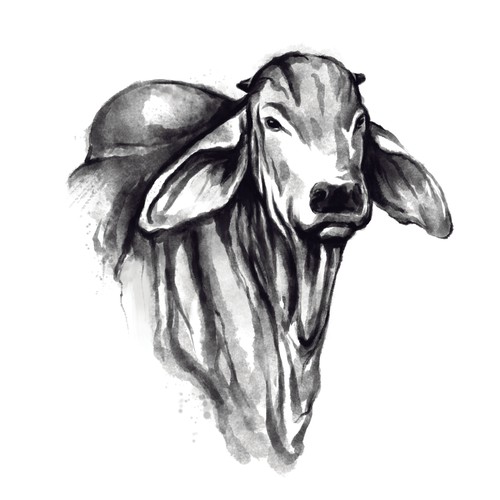 illustration of a cow