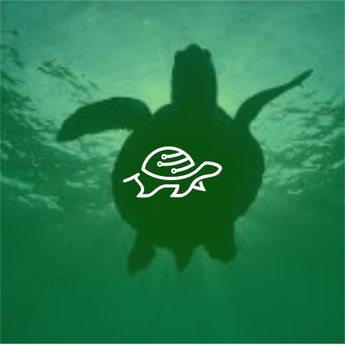Clever Turtle Digital
