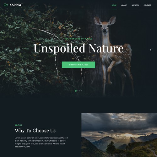 Wordpress Theme Template