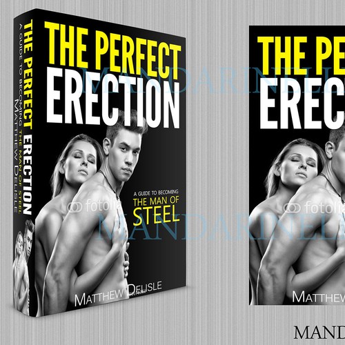 Ebook Cover - The Perfect Erection