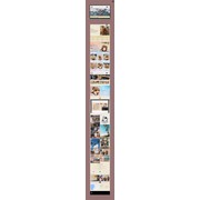 Reviewed design