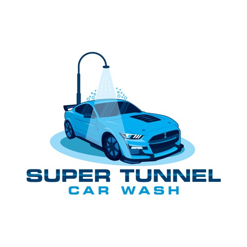 Car wash seeking logo