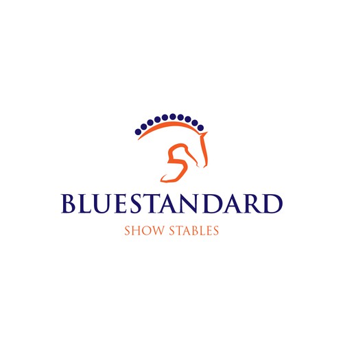logo bluestandard