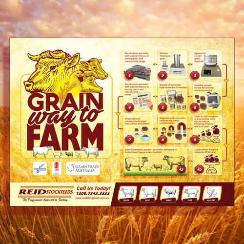 Grain Flow Infographic