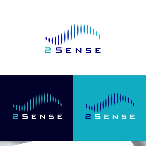 2 Sense