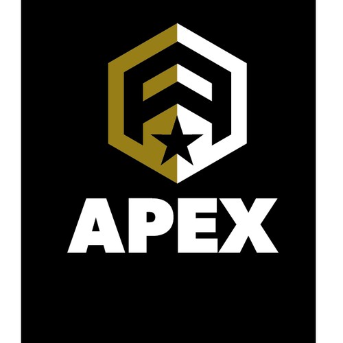 Logo for a sercurity company