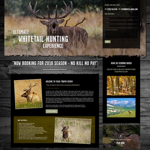 website design