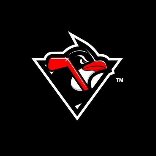 Penguins mascot logo for sport