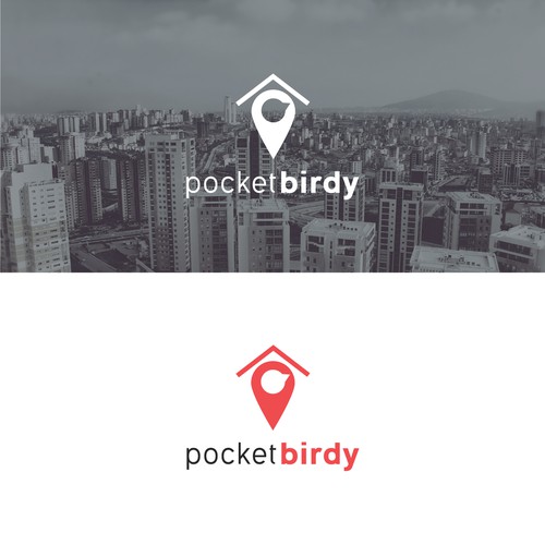 Logo concept for pocketbirdy