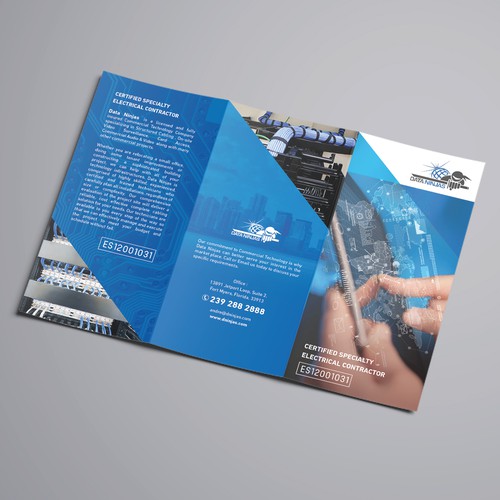 Brochure for Data Ninjas