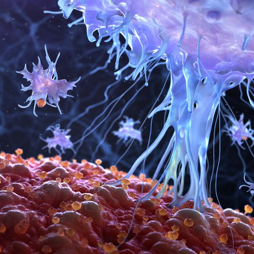 t-cell and cancer cell