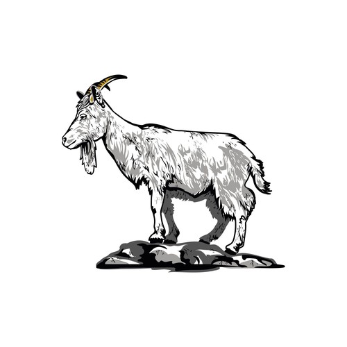 Capra Goat
