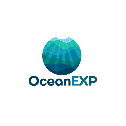 Logo for ocean technology and exploration centre