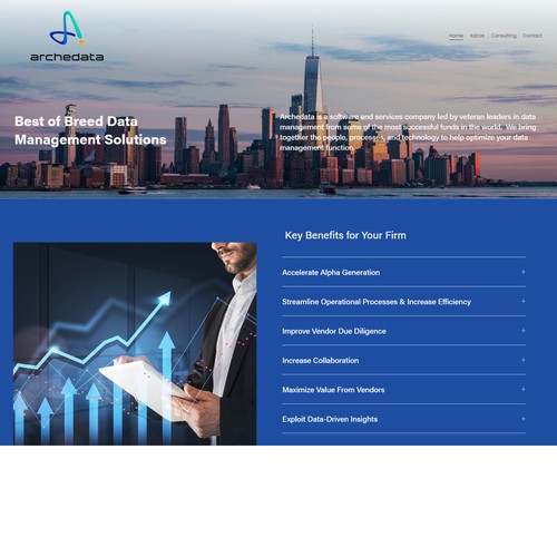 Website - Professional Services (Data Management Solutions)