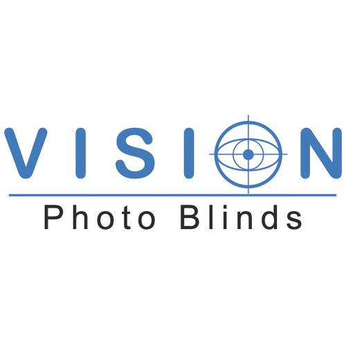 logo Vision