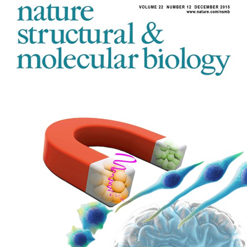 Nat Struct Mol Biol magazine cover
