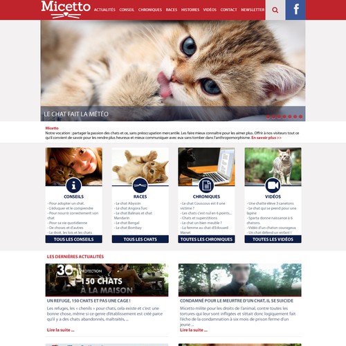 Relooker le site Micetto.com : un site pour des passionnés de chats.