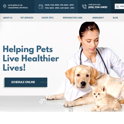 Animal Veterinary Landing page design