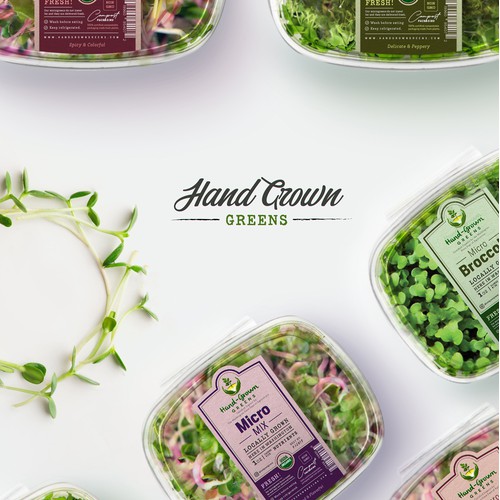 MicroGreens Set Design