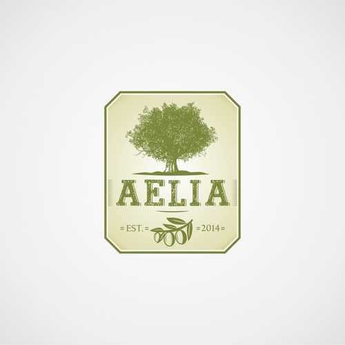 Holy land company needs logo for high quality olive oil