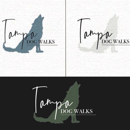 Logo concept for Tampa Dog Walks co.