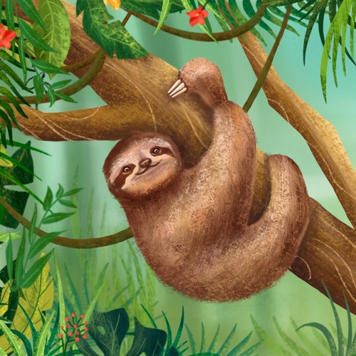Sloth Illustration