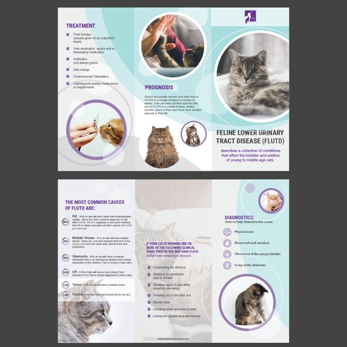 Brochure for Cat Health Center