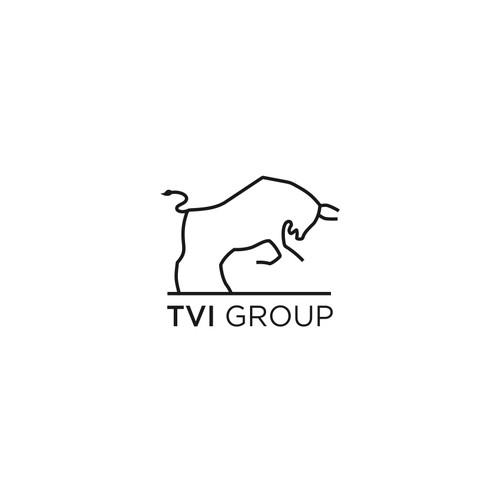 TVI GROUP