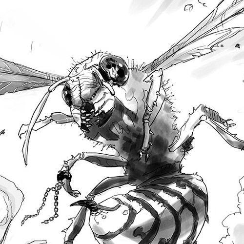 The Wasp Sketch