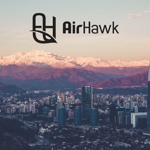 AirHawk aerial photography logo design