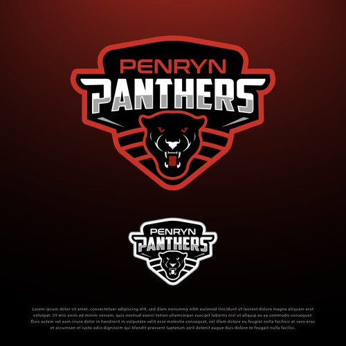 Sport logo for Penryn Panthers