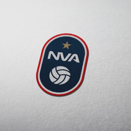 Logo for volley association