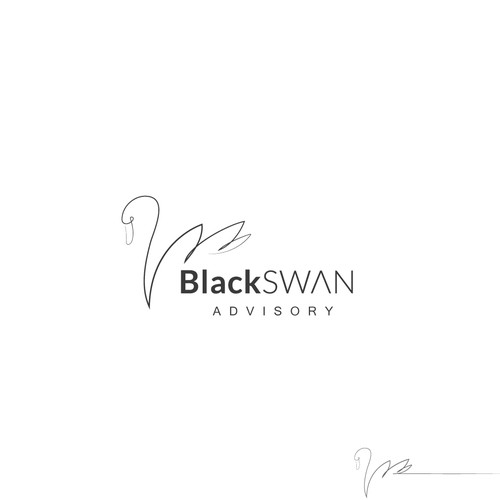 BlackSwan Advisory Company